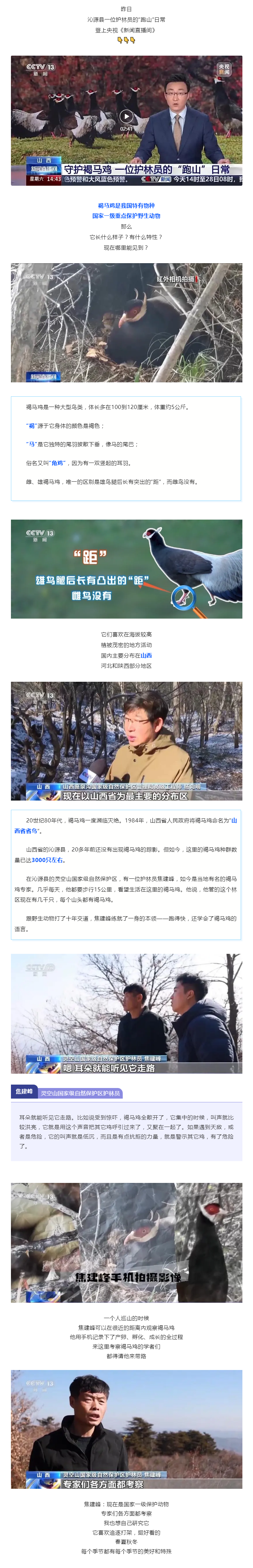 央視報道！長治沁源守護“省鳥”的護林員！.png